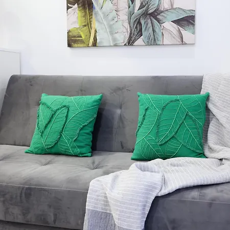 Dina House Apartment *